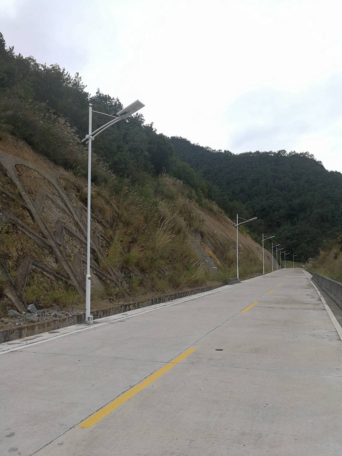 山路免接線光能路燈