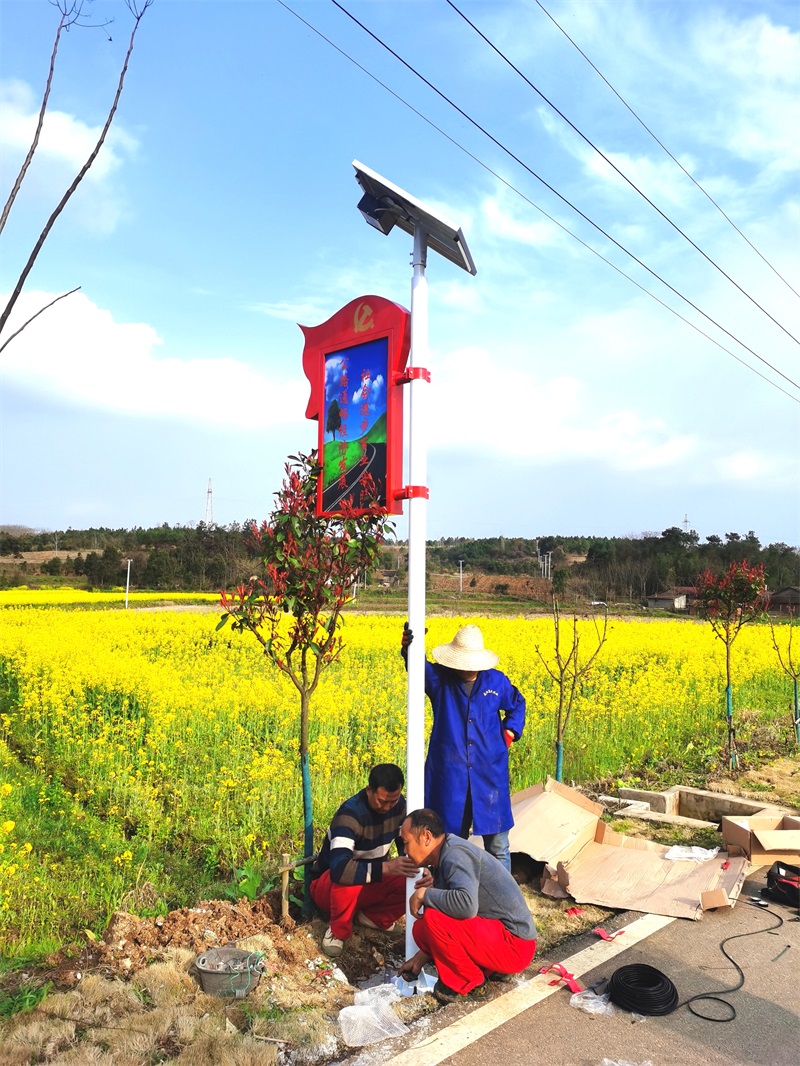微光太能陽景觀燈安裝