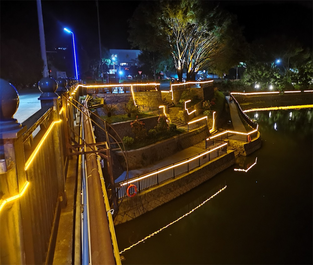 2021景區(qū)多色微光能景觀燈