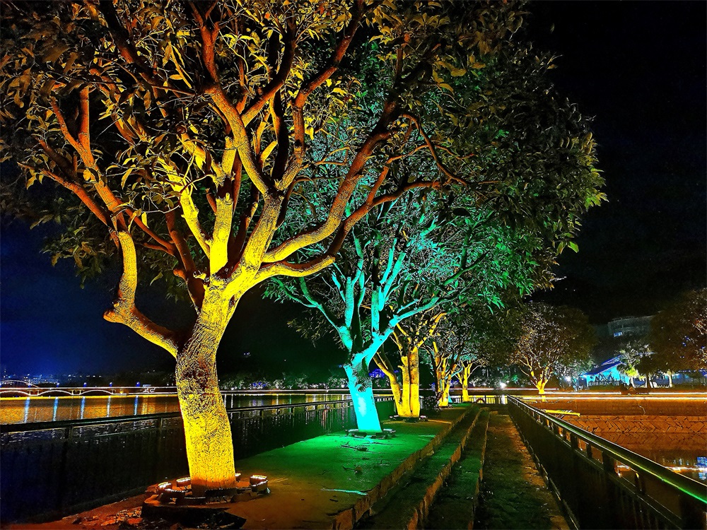 2021景區(qū)樹(shù)上多色微光能景觀燈