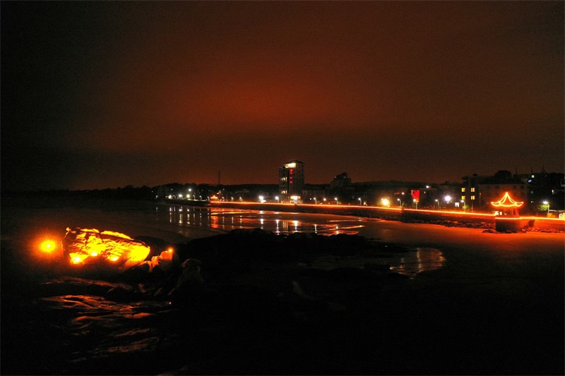 2022太陽能無電亮化夜景園林景觀燈全景